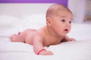 IMG 6091ps 